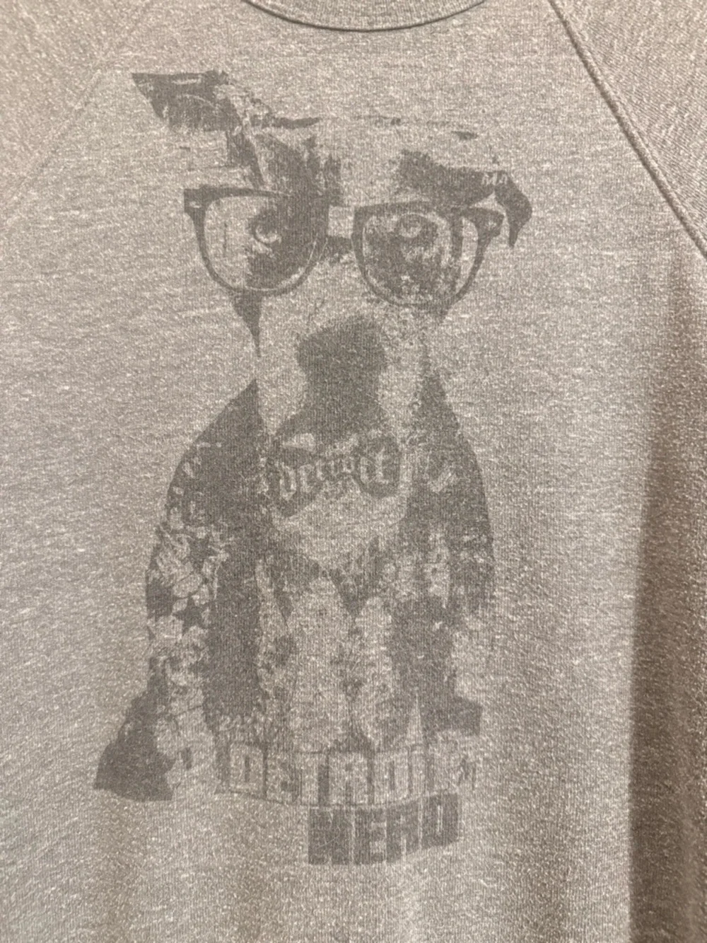 Detroit Nerd Dog sweatshirt